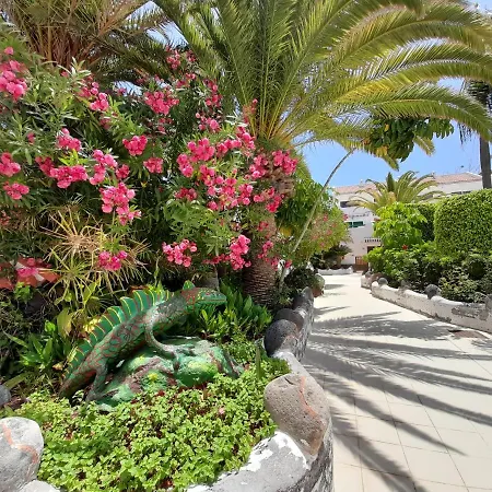 Tenerife Parque Don Jose 219 Διαμέρισμα