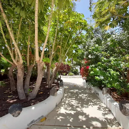 Tenerife Parque Don Jose 219 Διαμέρισμα