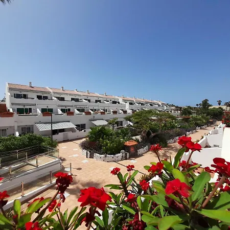Tenerife Parque Don Jose 219 Arona (Tenerife)